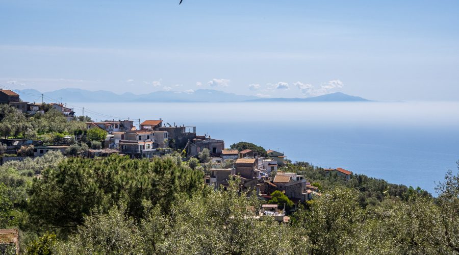 Sky Blue Guesthouse-30